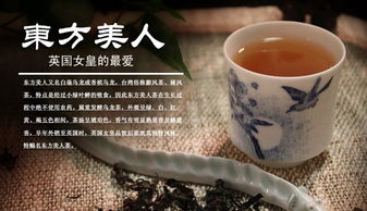 价格 厂家 中国供应商