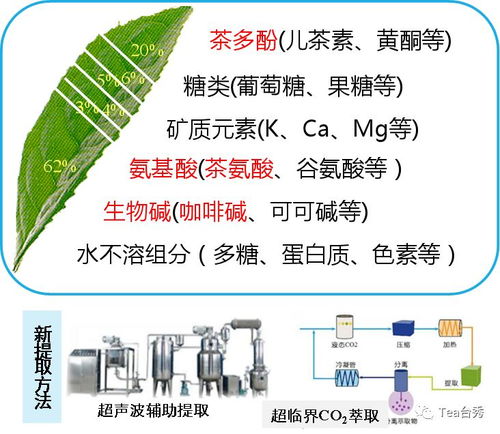 基于食品工业的茶业机会