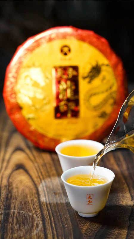 天弘茶业基地 高端古树茶隆重上市
