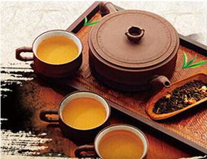 今朝茶业缔造中国茶业新传奇