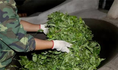 普洱茶崩盘后,他却一条道走到“黑”!走着走着天就亮了!