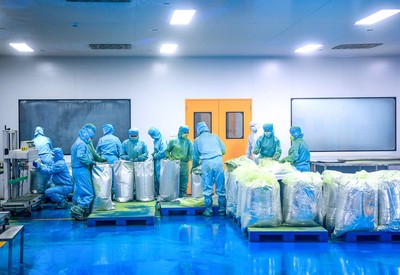 江口:抹茶超级工厂