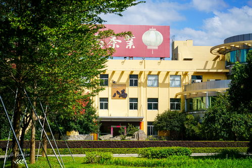走进安溪铁观音之乡,探访八马茶叶百年制茶世家