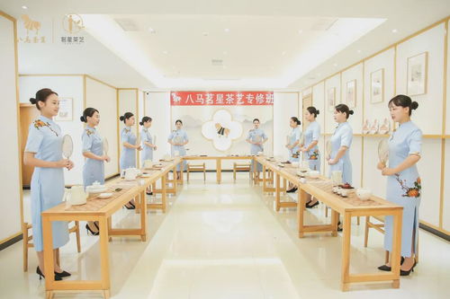 走进八马茶业安溪总工厂 ,赴一场会回甘的约