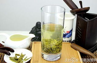 今朝茶业 专业好茶品位生活
