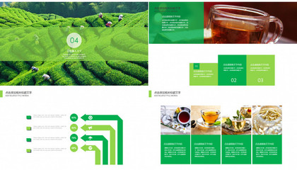 绿色清新茶叶企业产品宣传通用PPT模板