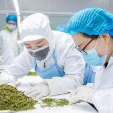 匠心成就优良品质,杜国楹的小罐茶获艾问认可!