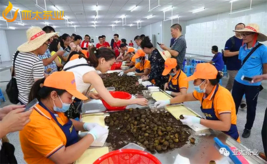 柑普茶品牌如何走出标杆步伐?