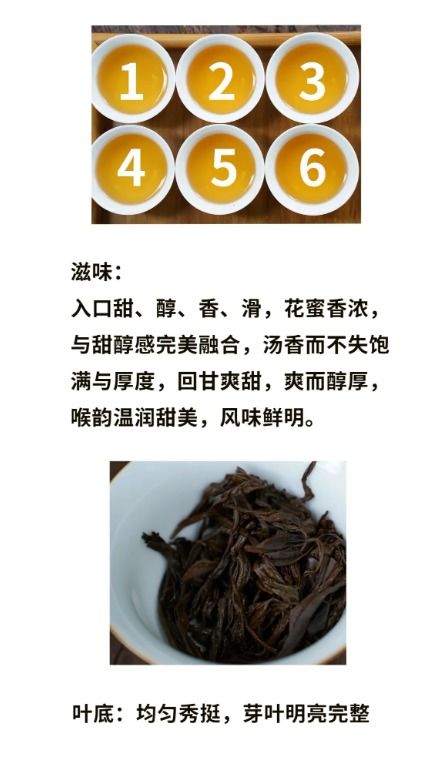 一球茶业2023真红