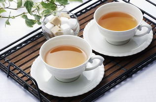 经济开发区四海香茶业总汇加盟