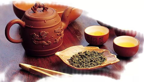 一饼茶叶竟比黄金还要贵 陈村茶博会曝光