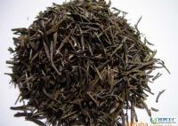 安化雾语茗绿芽胞散装批发---盖不住香遮不住的美[供应]_茶叶_世界工厂网中国产品信息库