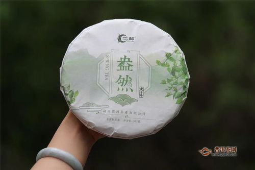 一球茶业 你陪我长大,我陪你喝茶