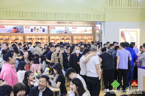 六月佳茗迎盛事 第十七届中国西安国际茶业博览会盛大开幕