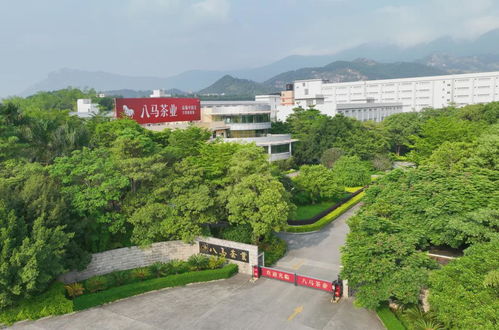 走进八马茶业安溪总工厂 ,赴一场会回甘的约