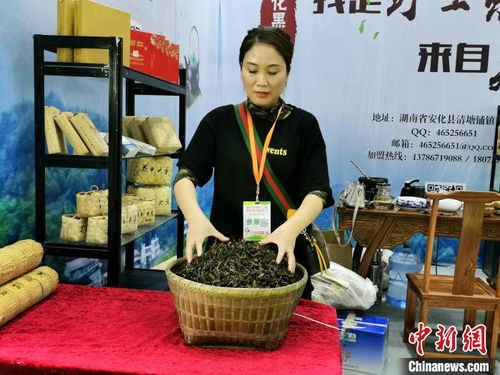 第十二届湖南茶业博览会开幕 展精准扶贫成果