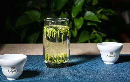 天府龙芽 携四川主产茶区 三山一早 公共品牌登陆纽约时报广场