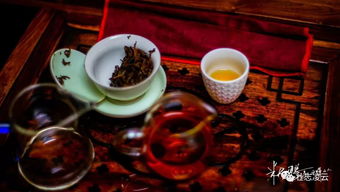 凌云白毫 亮相 上海国际茶业博览会