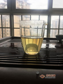 2019年兴海茶业珍昔试用品鉴报告