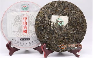 德凤茶业 青山云雾山卷幔 德宏味 中山古树520预购发售