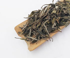 福鼎汉仪楼茶业