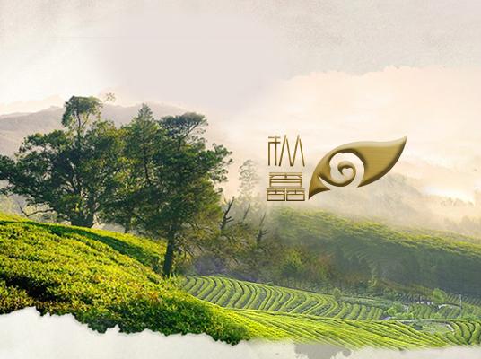 网站建设案例-深圳枞馫茶业