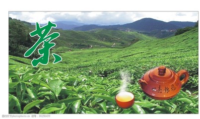 茶业茶行背景