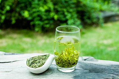 仙遇遂昌·龙谷茶香遂昌县第二届高山名茶问茶节等你来