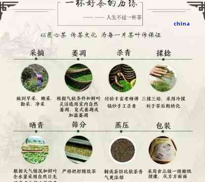 普洱茶的历 排行榜与历渊源