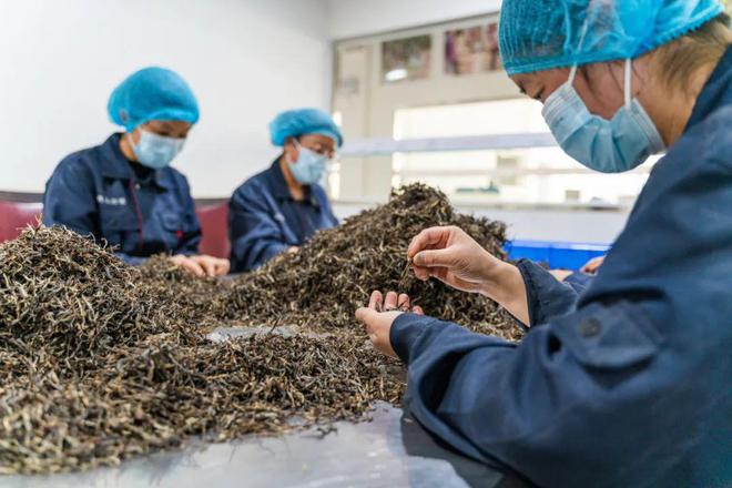 一年净赚200多万!很多餐厅经营者都忽略了餐茶的威力