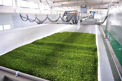 萧氏茶业荣登中国农企500强榜单，彰显茶业发展新高度