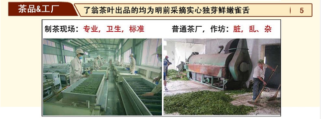 2014新茶了翁蒲江雀舌40g*5盒礼品装 品味叶青类茶叶的清新雅韵