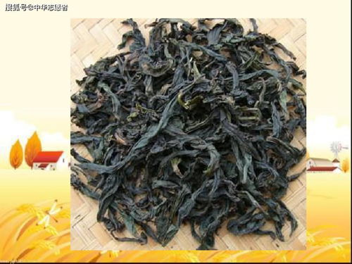 明清茶业 从生产兴盛到文化精致