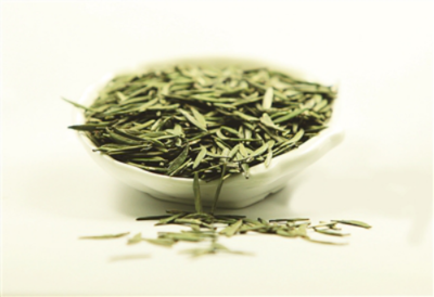 四川宜宾高县 立足生态优势，做强茶产业，谱写乡村振兴新篇章