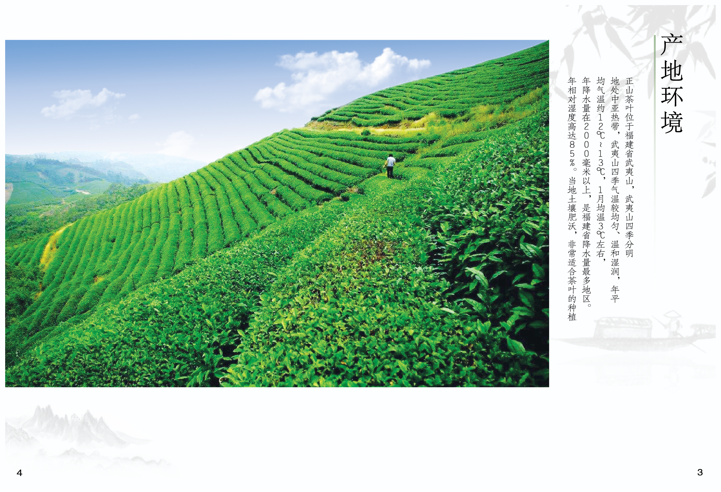 正山堂 一盏茶香，承传千年